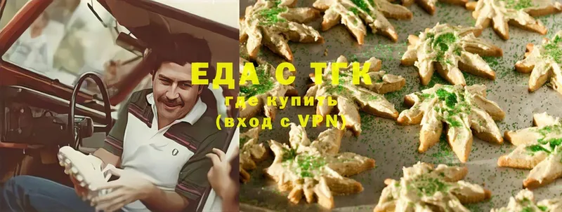 Canna-Cookies марихуана  купить закладку  Камышлов 